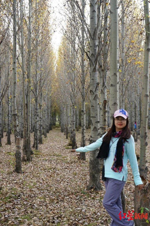 与成都，向未来 | 成都首批“产业建圈强链人才计划”入选者董娜：12年青春，同“城”发展