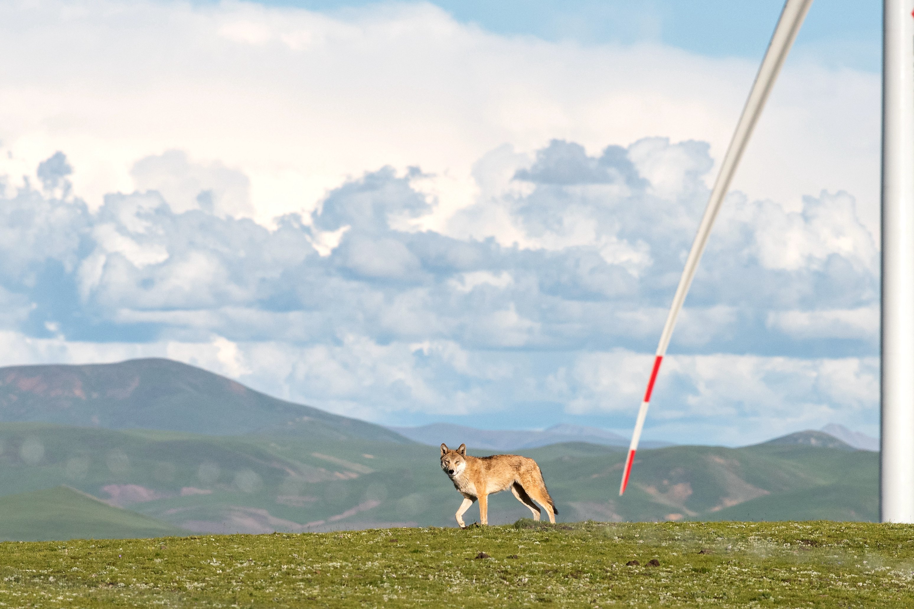尊龙凯时 - 人生就是搏!